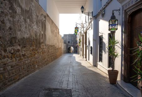 Cultural Influence - a narrow alley way with a potted plant on the side